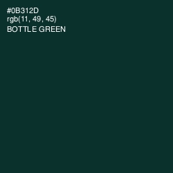 #0B312D - Bottle Green Color Image
